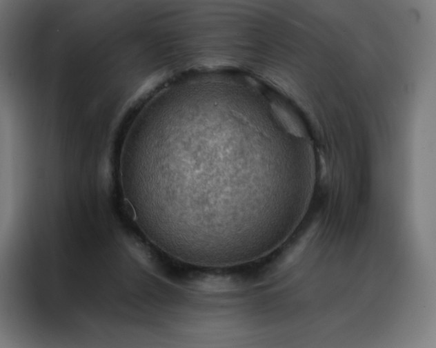 X0000088190256200705221708