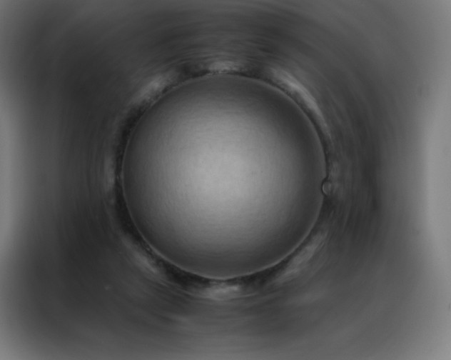 X0000088190257200705221708