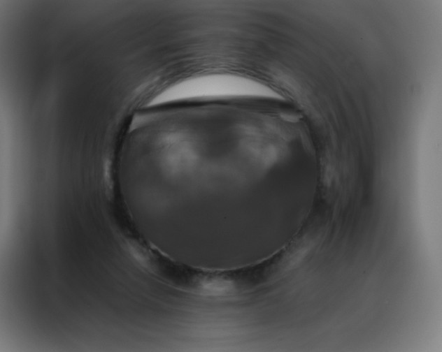 X0000088190258200705221708