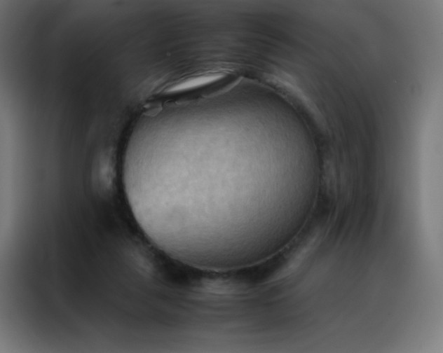 X0000088190259200705221708
