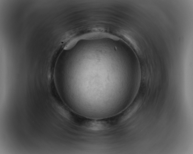 X0000088190261200705221708