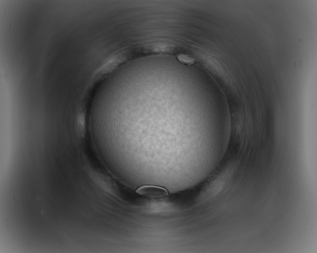 X0000088190262200705221708