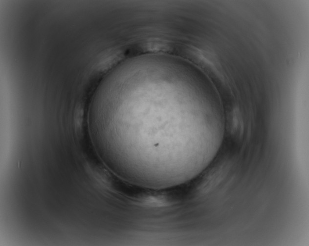 X0000088190263200705221708