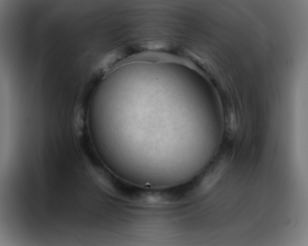X0000088190264200705221708