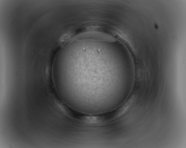X0000088190265200705221708