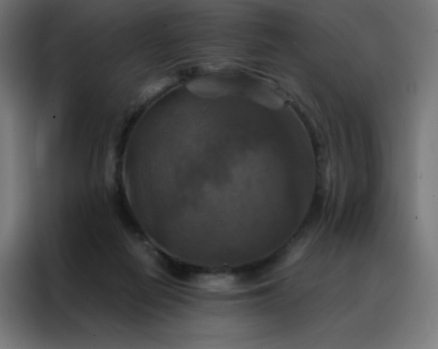 X0000088190266200705221708