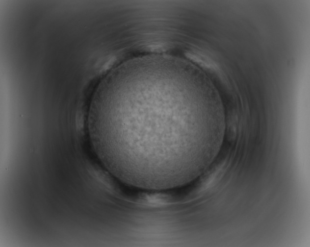 X0000088190268200705221708