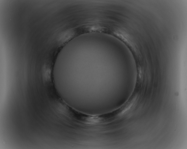 X0000088190269200705221708