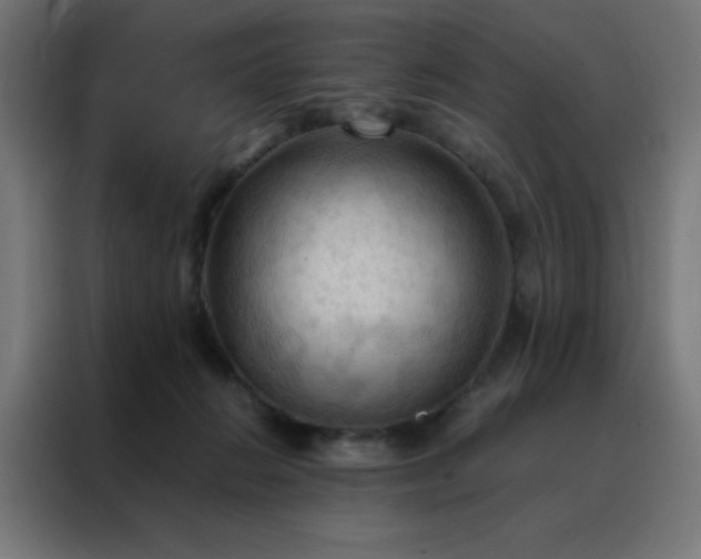 X0000088190270200705221708