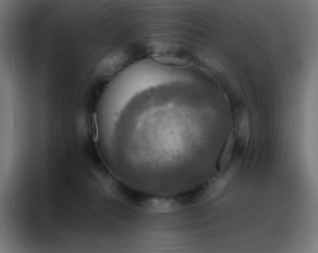 X0000088190272200705221708