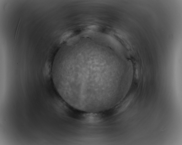 X0000088190273200705221708