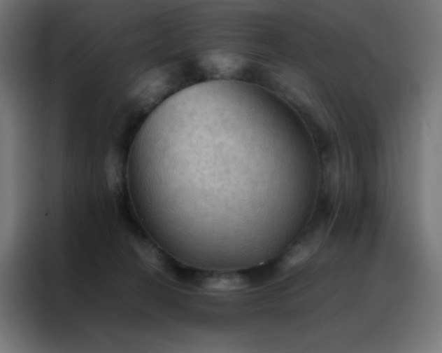 X0000088190274200705221708