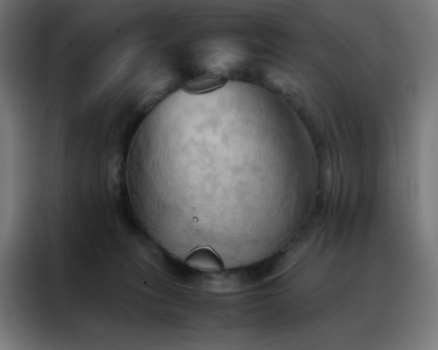 X0000088190275200705221708