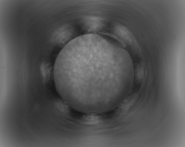 X0000088190276200705221708
