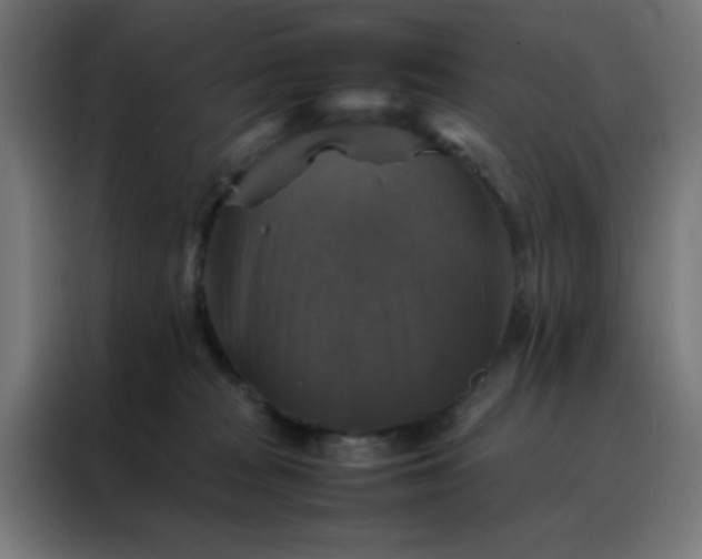 X0000088190277200705221708