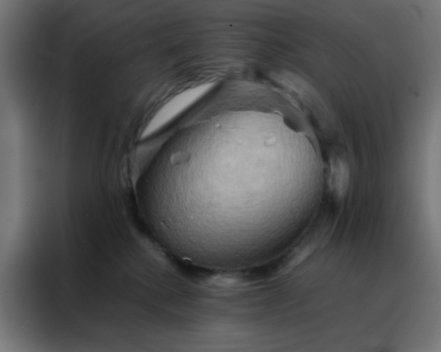 X0000088190280200705221708