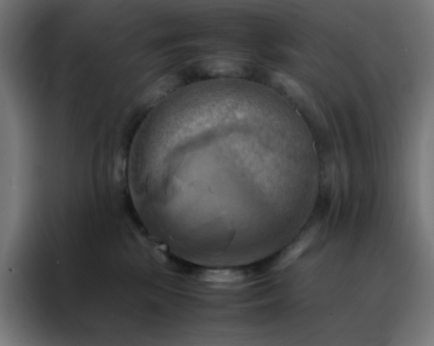 X0000088190281200705221708