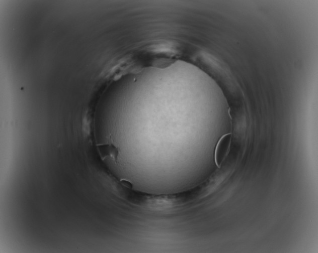 X0000088190282200705221708