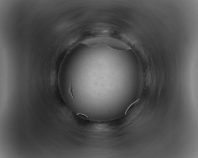 X0000088190283200705221708