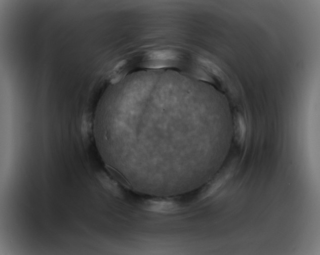 X0000088190284200705221708