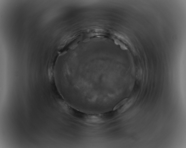 X0000088190285200705221708