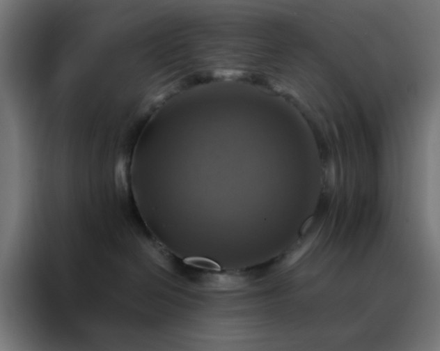 X0000088190286200705221708