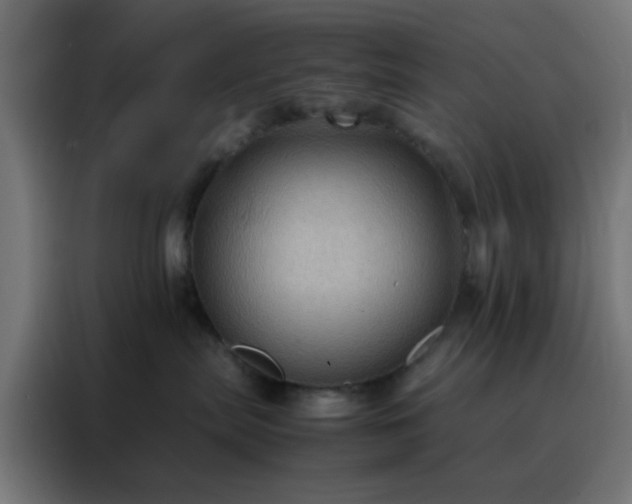 X0000088190287200705221709