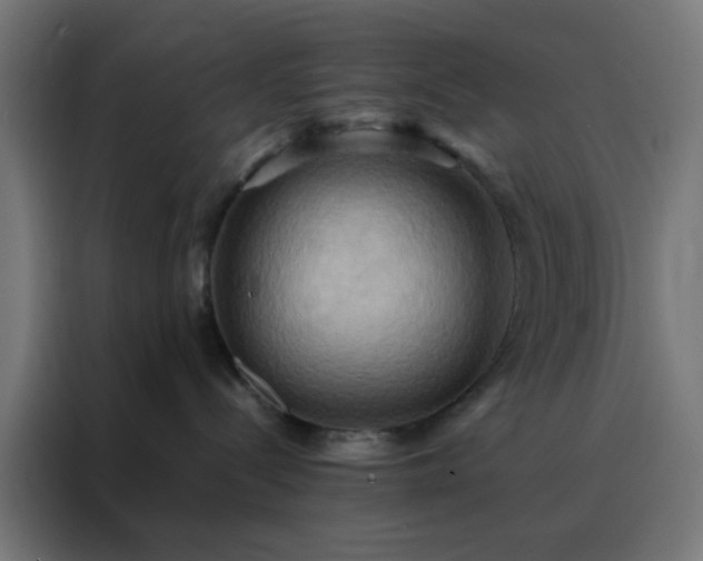 X0000088190288200705221709