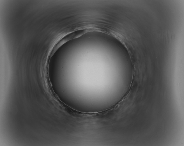 X0000088190289200705221708