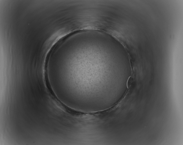 X0000088190290200705221708