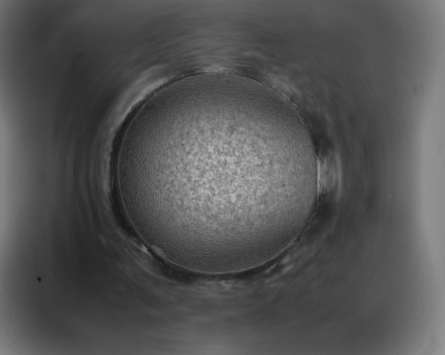 X0000088190291200705221708