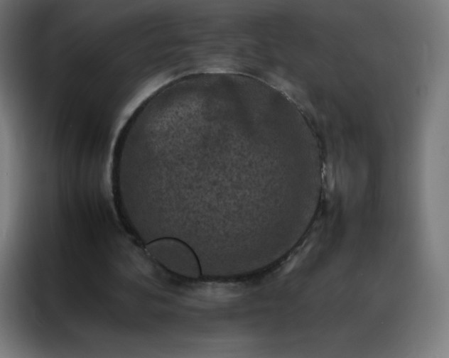 X0000088190292200705221708
