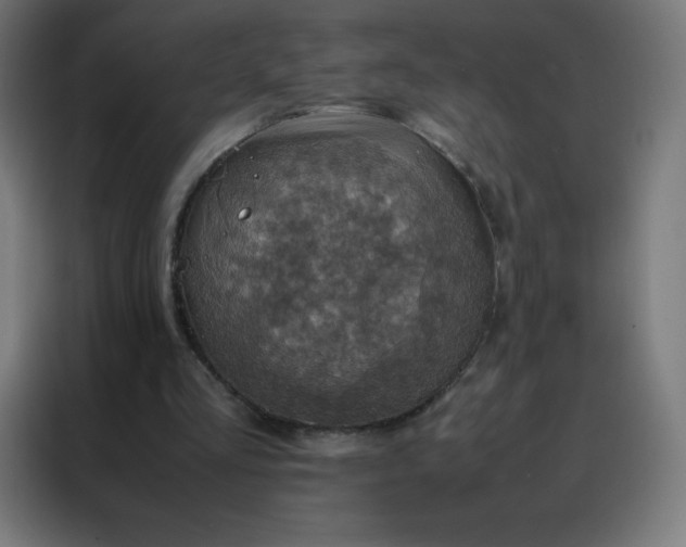 X0000088190293200705221708