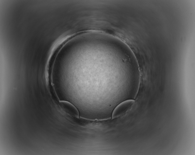 X0000088190294200705221708
