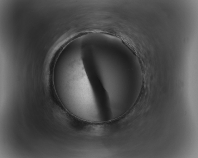 X0000088190295200705221708