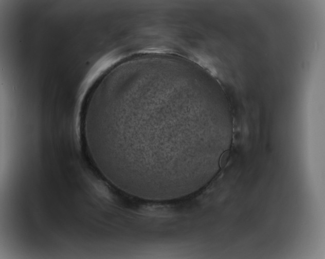 X0000088190296200705221708