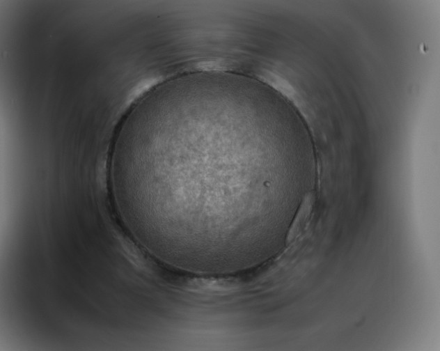 X0000088190297200705221708