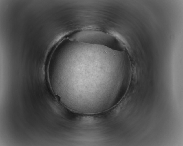 X0000088190298200705221708