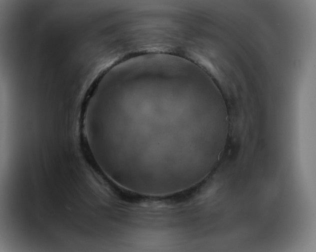 X0000088190299200705221708