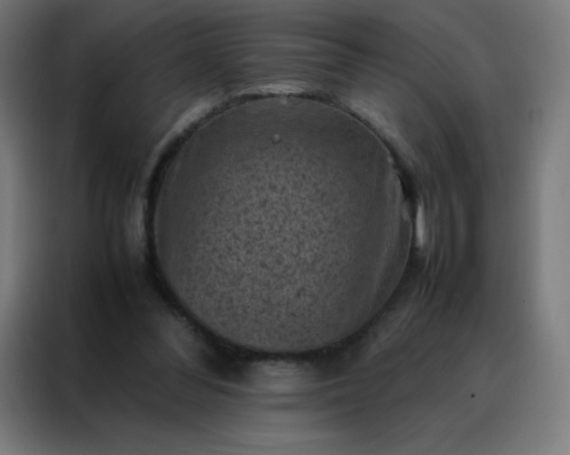 X0000088190300200705221708