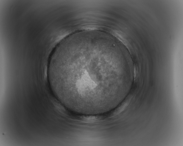 X0000088190301200705221708