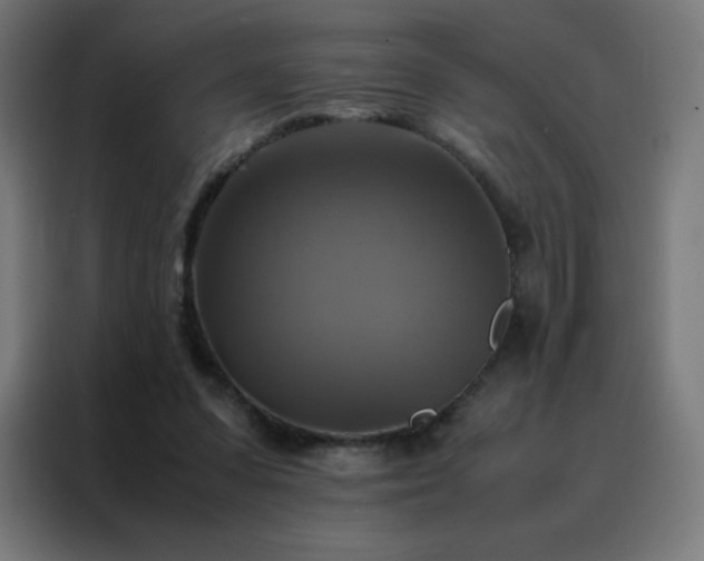 X0000088190303200705221708