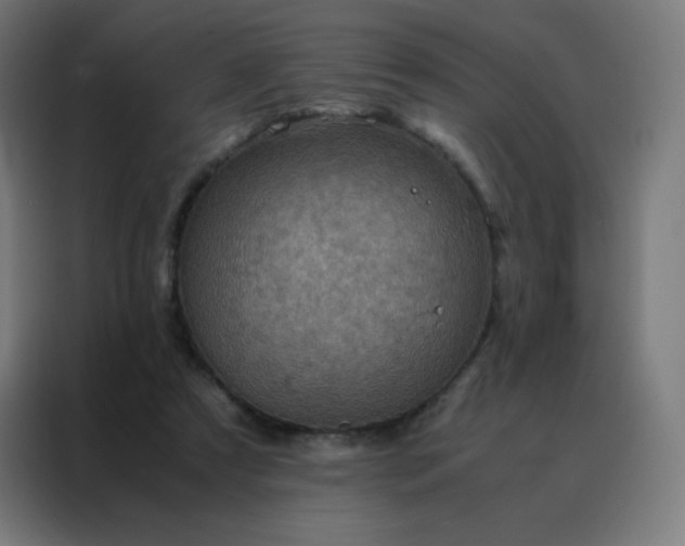 X0000088190305200705221708