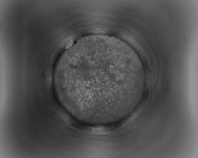 X0000088190309200705221708