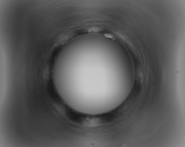 X0000088190311200705221708