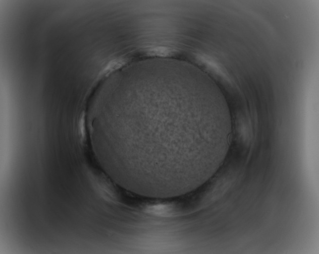 X0000088190312200705221708