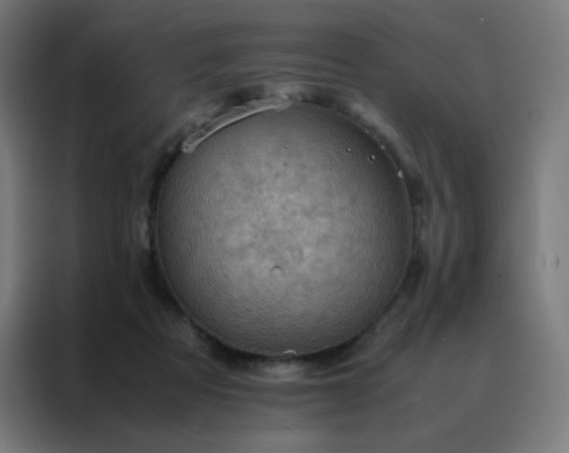 X0000088190313200705221708