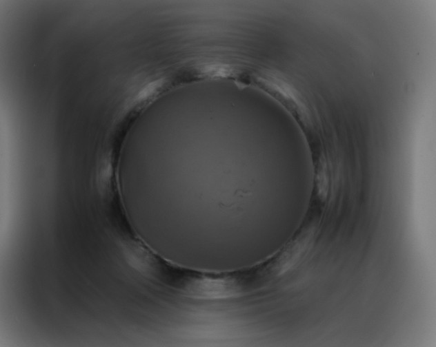 X0000088190314200705221708
