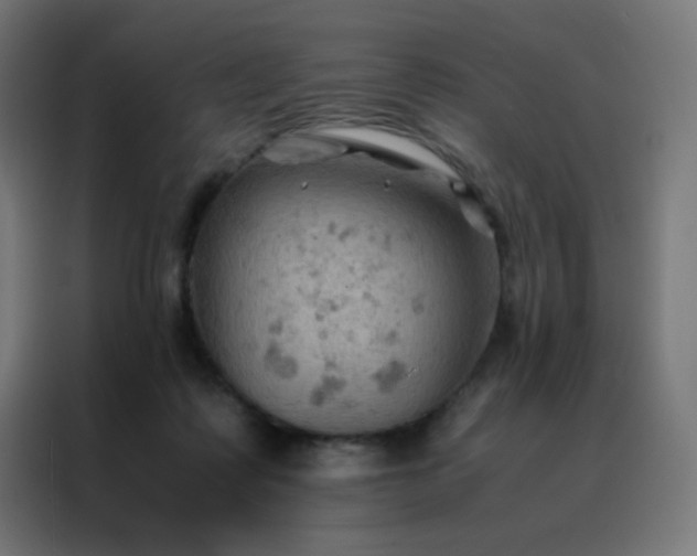 X0000088190315200705221708