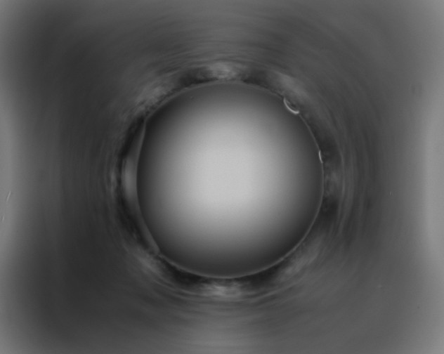 X0000088190317200705221708